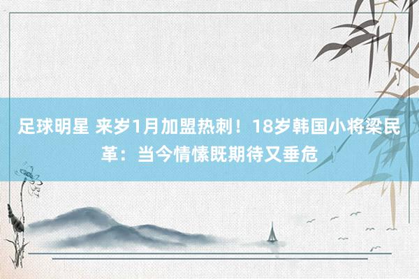 足球明星 来岁1月加盟热刺！18岁韩国小将梁民革：当今情愫既期待又垂危