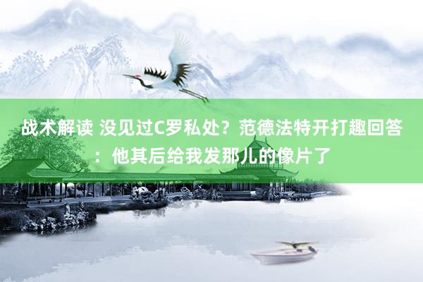 战术解读 没见过C罗私处？范德法特开打趣回答：他其后给我发那儿的像片了