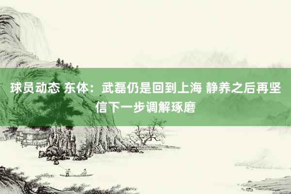 球员动态 东体：武磊仍是回到上海 静养之后再坚信下一步调解琢磨