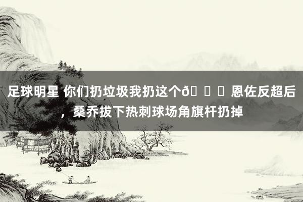 足球明星 你们扔垃圾我扔这个😂恩佐反超后，桑乔拔下热刺球场角旗杆扔掉